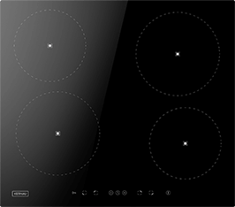 Induktionsfeld Reparatur Magdeburg